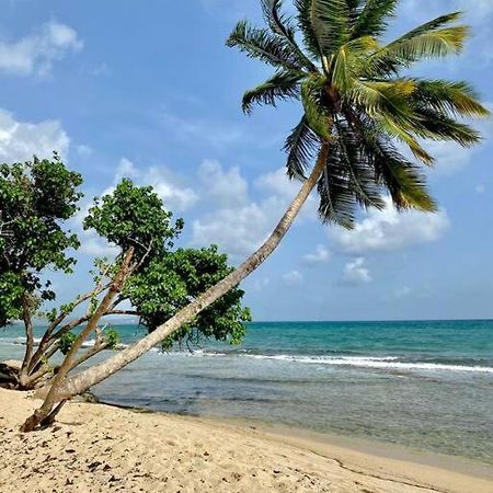 Agreable T2 A 5 Min Des Plages Apartman Sainte-Luce Kültér fotó