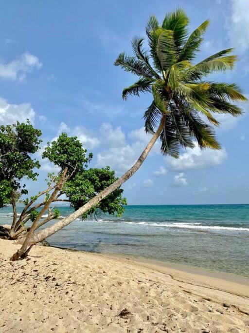 Agreable T2 A 5 Min Des Plages Apartman Sainte-Luce Kültér fotó